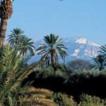 Jardins de l&rsquo;Agdal